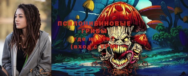 хмурый Верхний Тагил