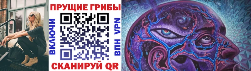 купить   Екатеринбург  Галлюциногенные грибы мухоморы 